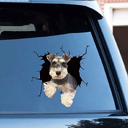 Zpahq Schnauzer - Calcomanía para grietas de coche, 11.8 x 11.8 pulgadas, vinilo 3D, impermeable, para pared, laptop, coche, ventana, camión, parachoques, refrigerador