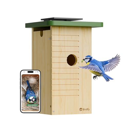 Birdfy Nichoir Oiseaux Exterieur, Camera Nichoir avec Panneau Solaire, 1080P HD Vidéo en Direct & Vision Nocturne pour Nidification 24/7, Détection Auto, Notification & Identification IA