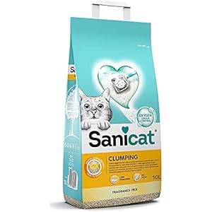 Litière agglomérante sans parfum, Composée de minéraux naturels avec contrôle des odeurs garanti, Retient l’humidité et facilite le nettoyage, Format : 10 L