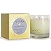 Trapp 7oz Limited Edition Seasonal Poured Scented Candle - No. 91 Lemon Sugar Cookie