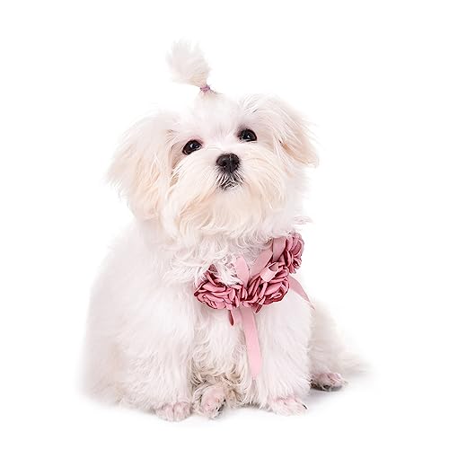 Mineatig Hundehalsband Mit Blume,Hund Hochzeit Halsband,EinstellbareBlumen Haustier Krage,Hochzeit Hundehalsbänder Hundehalsband,Hund Hochzeit Halsband, 45-61cm