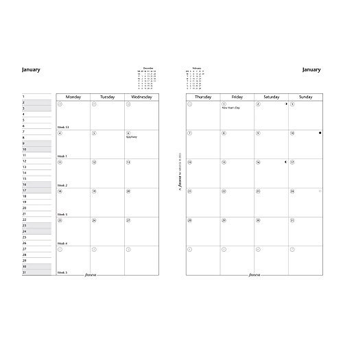 Filofax Month on Two Pages Refill, 8-1/4-Inch by 5-3/4-Inch, English (C68510-2017)