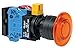 Idec HW1L-M4F01QD-A-6V 22mm Pushbutton Illuminated
