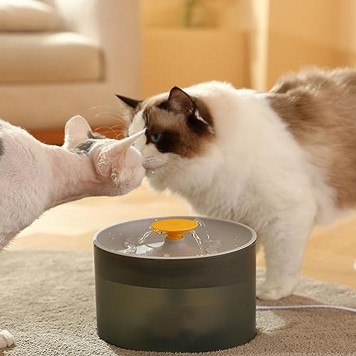 Fuente automática de agua para gatos con filtro miniatura 6