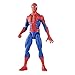 Marvel Legends Series Spider-Man and His Amazing Friends