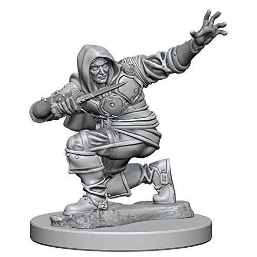 NECA Pathfinder Deep Cuts Unpainted Miniatures: Wave 1: Human Male Rogue