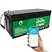 Produktbild PacPow Lifepo4 Autobatterie Smart 12V 300Ah Lithium Batterie, Built-in 200A BMS, 5000+ Zyklen, Maximal 350 Ampere, Perfekt für Wohnmobile, Solar, Marine, Overland, Off-Grid usw.