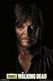 Trends International The Walking Dead Daryl Shadow Wall Poster 22.375' x 34'