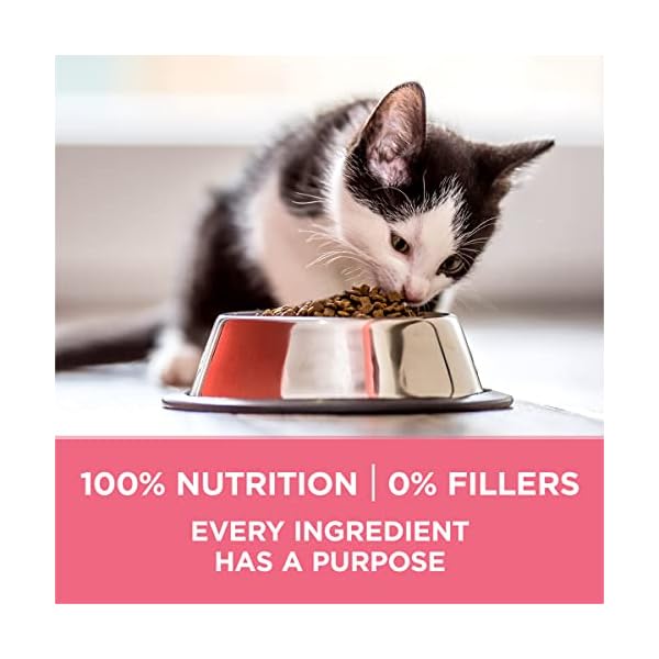 PURINA ONE Dry Cat Food, Healthy Kitten Formula, 16-Pound Bag by – Bild 8