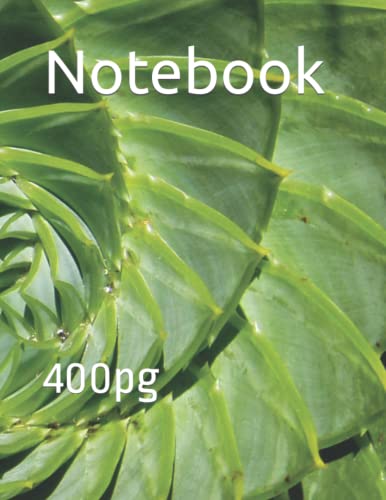 Notebook 400 pages pour ne plus perdre ses notes de réunion importantes