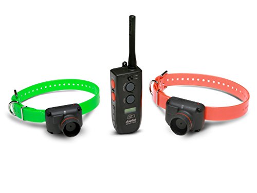 Dogtra RB 1002 Collier de Repérage, 3 Modes de Localisation avec Ecran LCD et Vibration, Étanche IPX9K, 4 Tonalites au Choix - Système 2 Chiens - Portée...