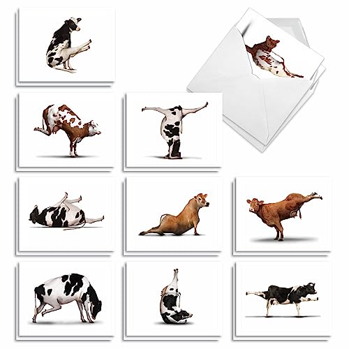 The Best Card Company - 20 Blank Yoga Animal Cards (4 x 5.12 Inch) - All Occasion Set (10 Designs, 2 Each) - Bovine Nirvana AM6545OCB-B2x10