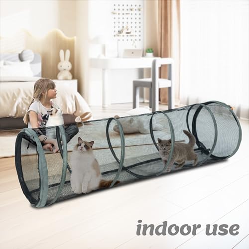 Cat Enclosures