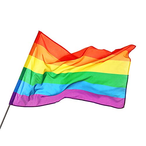 Drapeau Gay de fierté Lesbienne extérieur arc-en-ciel LGBT grand format
