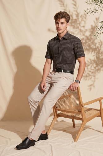Image of Peter England Men's Formal Half Sleeve Shirt