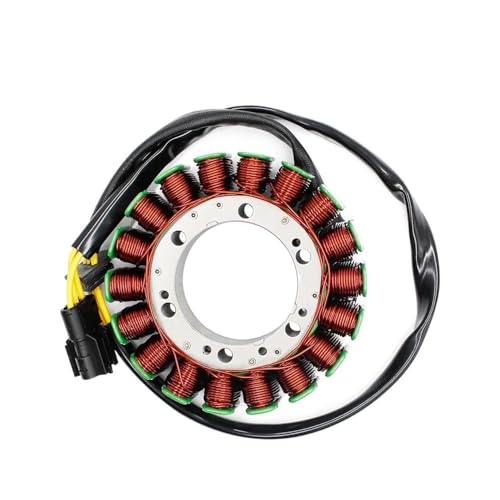 Kit montaje bobina estator generador F800S F800GS 2013-2014