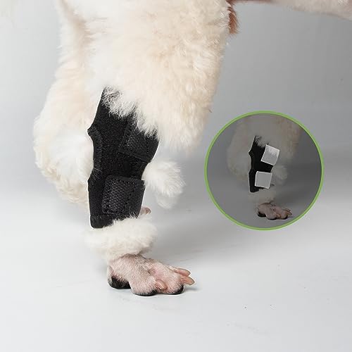 Image of Dog Leg Braces for Back Leg, Dog Knee Brace Compression Support for Dog Joints and Legs, for Injury and Sprain Protection, Wound Care and Lost of Arthrit Stability (Large)