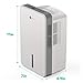 Vremi 1 Pint Compact Portable Dehumidifier