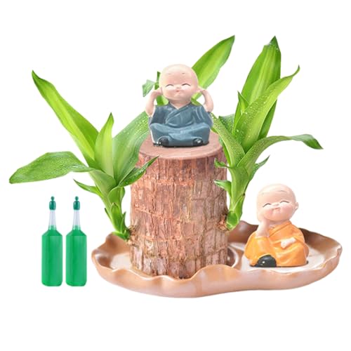 Brazilian Wood - Plantas hidropónicas de interior | Suministros purificadores de aire con 2 estatuas de monje y 2 soluciones nutritivas, decoración del hogar para sala de estar