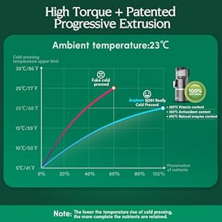 Anybear Cold Press Juicer with 4.9" Large Feed Chute, 350W Masticating Juicer Machines with Dual Slow-Squeezing Technology for Whole Fruits & Veggies with High Yield | BPA-Free Tritan (Gray)