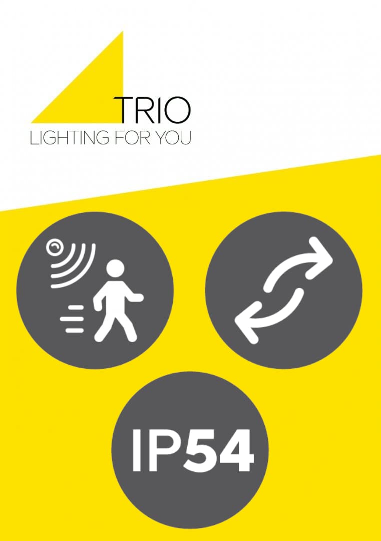 Trio Leuchten LED Außen Wandleuchte Horton 226360142, Aluminium Druckguss Anthrazit, inkl. 8 Watt LED, inkl. Bewegungssensor