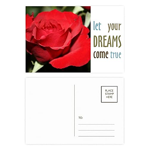 Cartes postales de remerciement roses rouges lot de 20 pour mot de gratitude