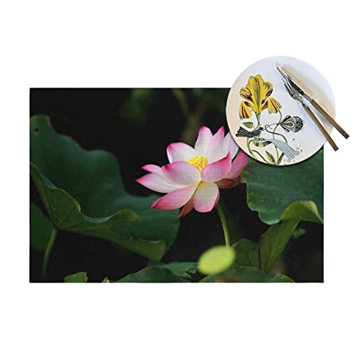 Set de table fleur de lotus x4 résistant à la chaleur pour salle à manger 30x45cm - 5