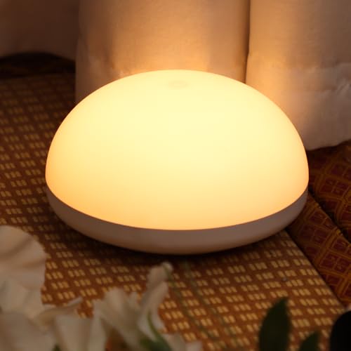 Ɩ iCgCg xbhTChv F 铔 ^b` GT-XY-04 USB[d Cg ドCg [CgԐڏƖ ی^ @\t hБ΍ d΍