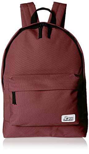 Quiksilver Men's Everyday Poster Backpack, andora, 1SZ