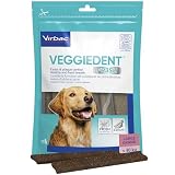 VEGGIEDENT Fresh L