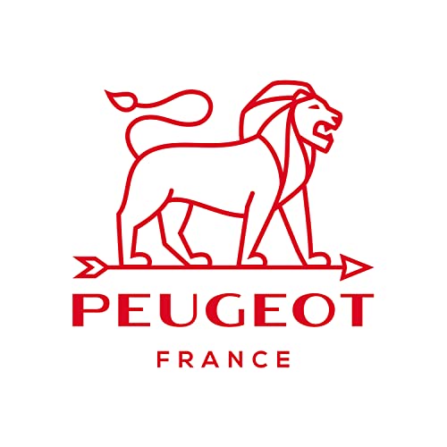 Peugeot France-240G Sel De Guerande Spice Cube-Grey Sea Salt France, 240G, Clear #TOP4