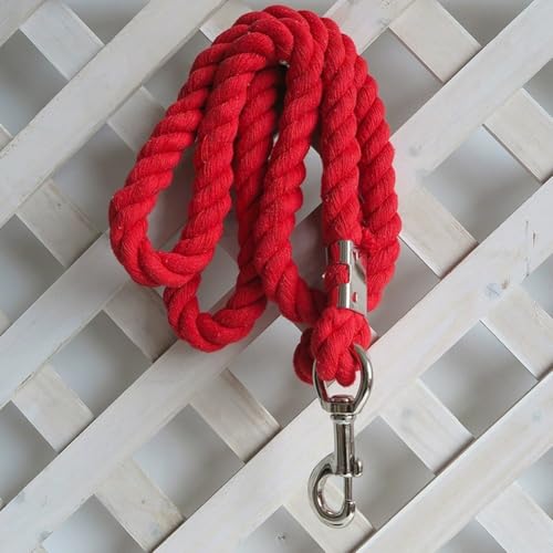 Corde de plomb de cheval sangle tressée accessoire licol durable