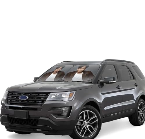 キム・ナムギル (1) 車用サンシェード サンバイザー 日よけ 紫外線対策 カーサンシェード 四季兼用 車用品 折畳み 便利 遮光 断熱 吸盤4個付