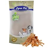 Lyra Pet