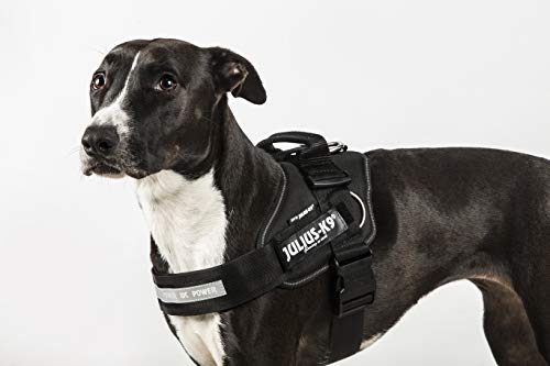 Julius-K9 16220-IDC P IDC Powerharness con anelli