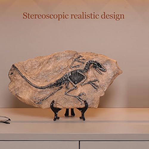 Fossile de dinosaure haute simulation réplique de musée 33cm