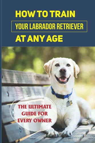 How To Train Your Labrador Retriever At Any Age: The Ultimate Gui...