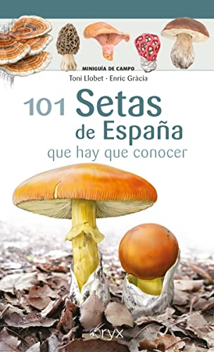 101 Setas De España - Que Hay Que Conocer (Miniguía de campo)