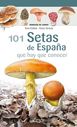 101 Setas De España: que hay que conocer (Miniguía de campo)