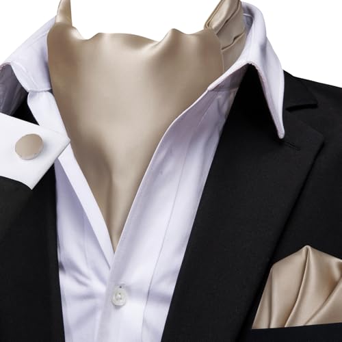Image of Dubulle Paisley Floral Ascot for Men Self Tie Mens Cravat and Pocket Square Cufflinks Wedding