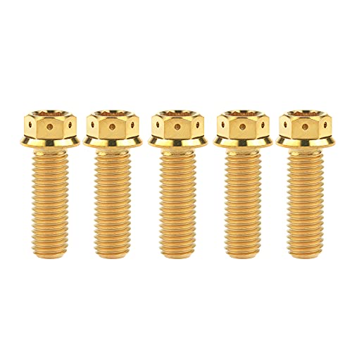 Ruifuチタン合金フランジヘッド六角穴付ボルトM10 20 25 30 35 40 45 50 55 60 65 70 75 80 85 90mm 二輪車用改造ネジ5個 (M10x30mm Pitch 1.25, ゴールド)