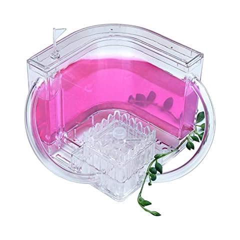 runnerequipmentAnt Farm Castle, Ant Habitat Science Learning Kit, Best STEM 2021 Educational Kids Toy,Study Insect Behavior at Home & School,with Plant Base-d Blue Gel 3D Maze Ecosystem,Kids Gift Idea Cover