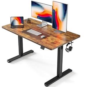 FEZIBO Electric Standing Desk, 48 x...