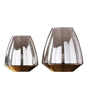 Glazen Vaas Thuis Tv Kast Woonkamer Veranda Aanrecht Vaas Gedroogde Bloem Simulatie Bloem Decoratie Vaas 21×19.5 Cm, 17×16.5 Cm, 2 Stks