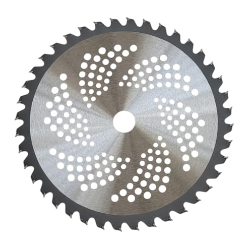 FAST WORLD SHOPPING Disco para desbrozadora, cortacésped, segadora, diámetro 255 mm, 40 dientes Widia, orificio diámetro 25,4 mm, cortador y sierra circular de jardinería 10 pulgadas