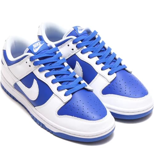 [iCL] _N LOW g [DUNK LOW RETRO] [T[u[/zCg/[T[u[ DD1391-401{Ki26.0cm
