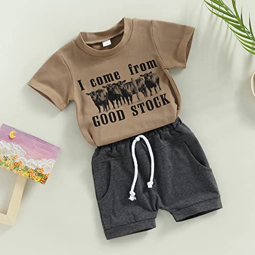 Toddler Baby Boy Western Outfit Cow Print Short Sleeve T Shirt Top Solid Shorts Set Cowboy Outfit 2Pcs Summer Clothes (A-Coffee, 6-12 Months) #TOP3