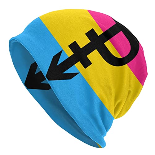 TZT Pansexual Pride Flag with P Beanie Hats Skull Cap Adult Knit Hat Soft Balaclava Baggy Hat Outdoor for Mens Womens