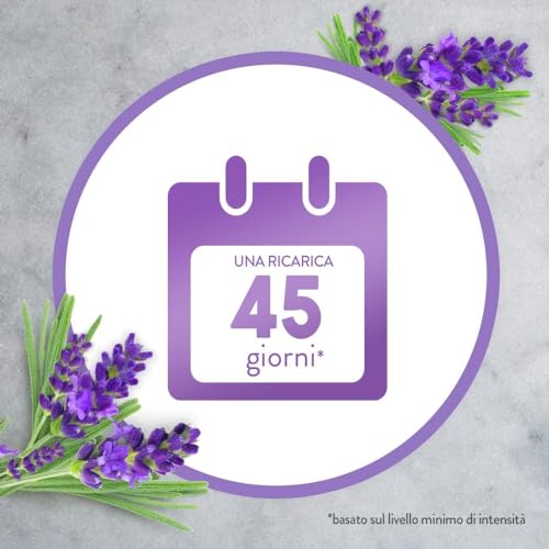 Airwick Ricariche per Diffusore di Oli Essenziali Armonia Istantanea, Confezione da 6 Ricariche per il Diffusore di Oli Essenziali Profumatore per Ambienti alla Fragranza Timo&Limone e Lavanda - Immagine 5