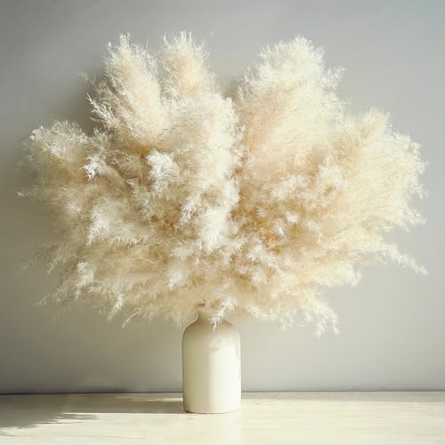 ROROUNE 10 Tallos de Hierba de Pampa Beige para decoración, Hierba de Pampa Seca Natural, Flores secas de Cola de Conejo, Pampas esponjosa a Granel para Bodas, Fiestas, Casas de Campo, decoración del